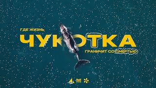 видео: Чукотка! Кладбище китов, птичьи базары! картинка: Чукотка! Кладбище китов, птичьи базары!