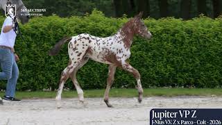 Jupiter VP Z