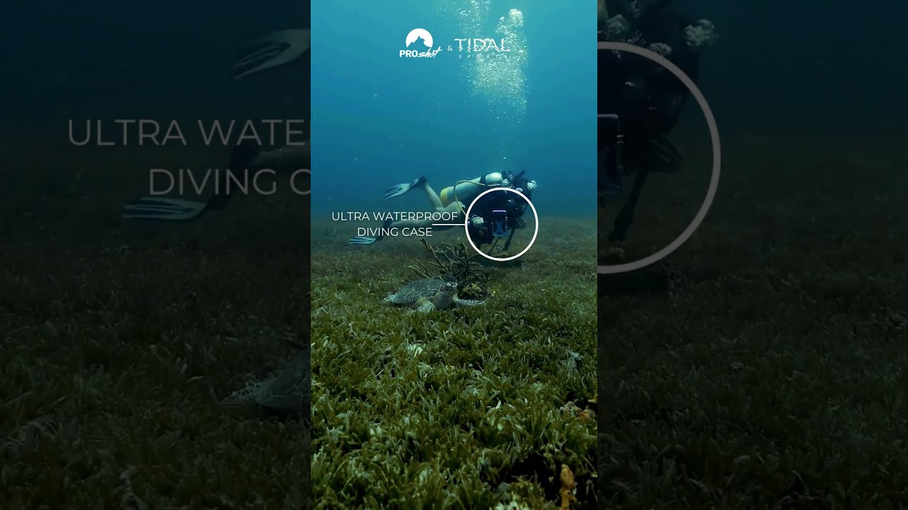 Scuba Diving Adventure Shot on iPhone