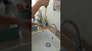 Estudo do Meio 4.º ano