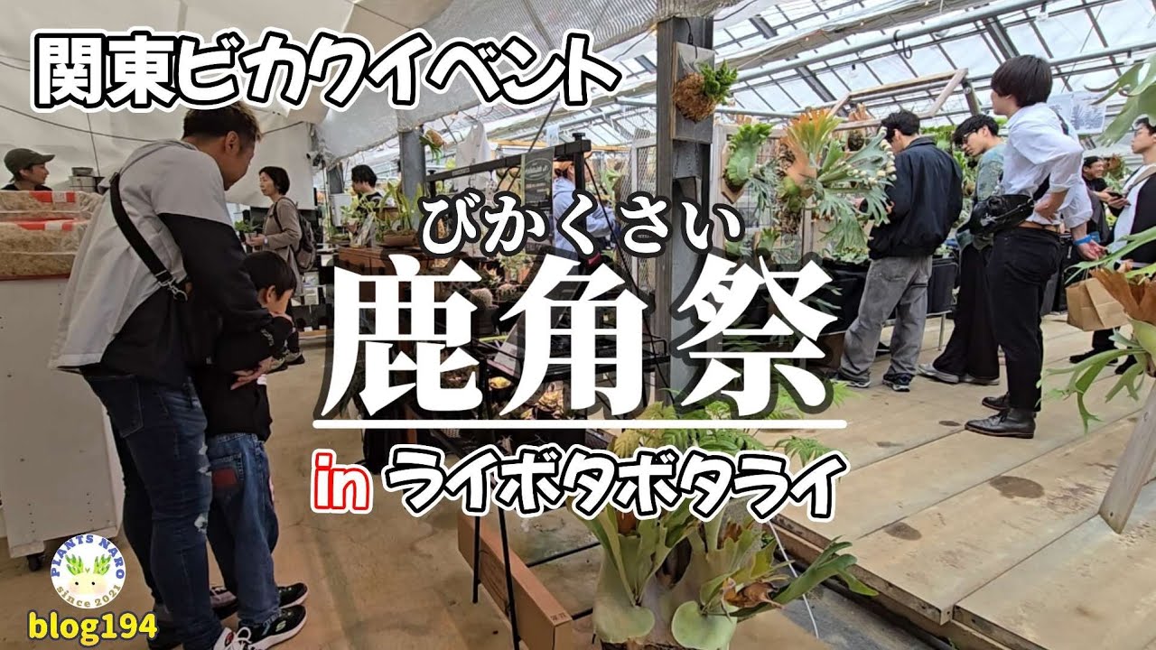 【横浜植物農園】週末はしご確定🌈うわさのイベント【鹿角祭】行ってきました🌱