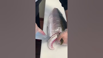 How to cut Hamachi Kama at Bowl K