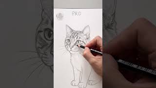 Normal vs Pro vs Legend  | Cat Pencil Drawing Challenge! #Shorts