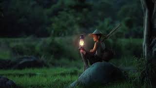 Beautiful Piano Music, Relaxing, Studying, Sleep or Relaxation/free music for YouTube videos