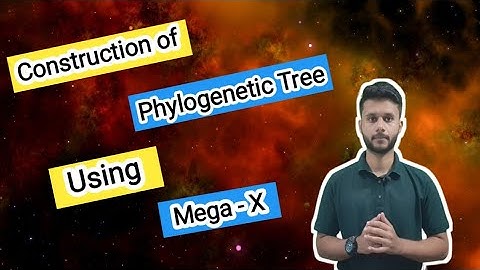 Construction of Phylogenetic Tree Using Mega - X