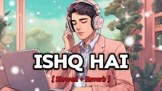 Ishq hai ( Slowed + Reverb ) | Anurag Saikia, Romy, Amarabha | MI LOFI