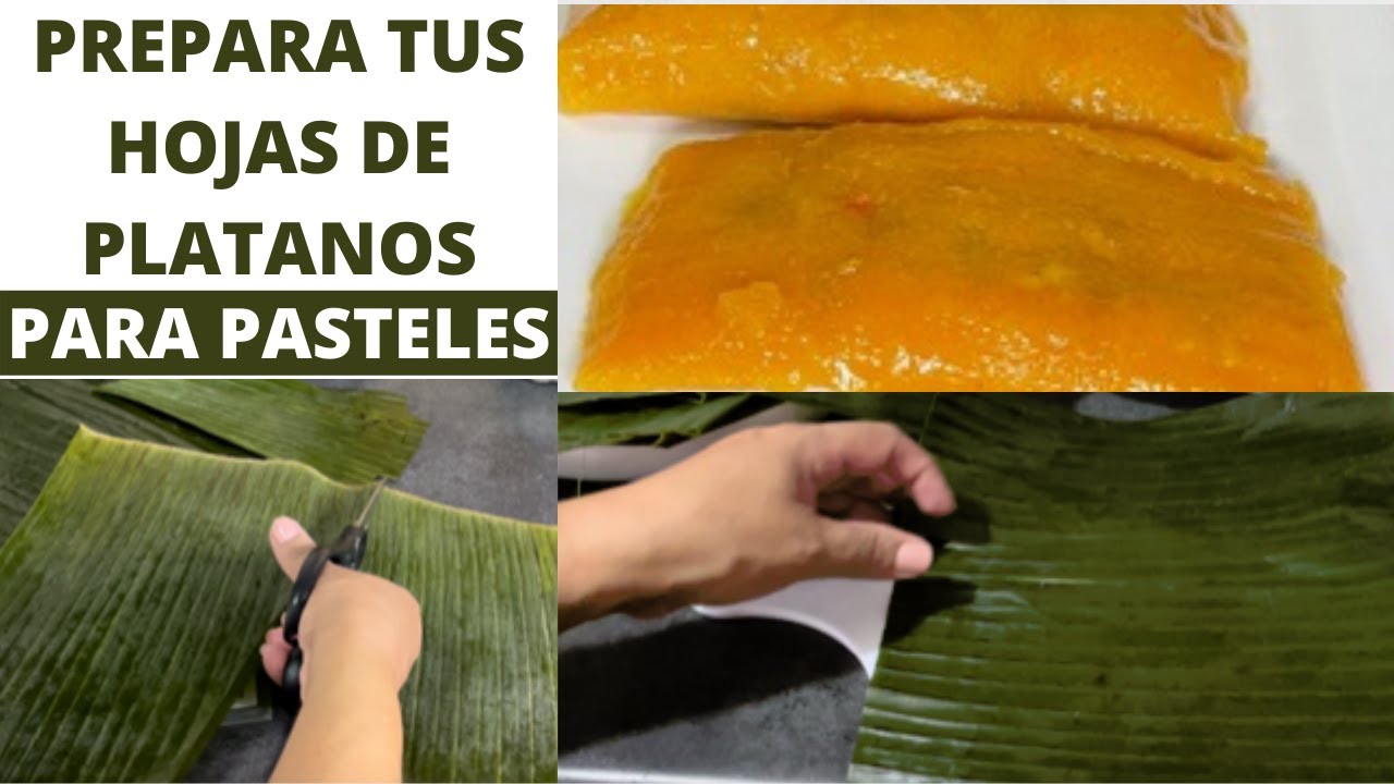 COMO LIMPIAR DE FORMA FACIL Y SENCILLA LAS HOJAS DE PLATANO / Serie