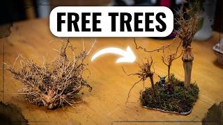Mini Trees From Wild Plants #terrain #tabletop #scratchbuilding