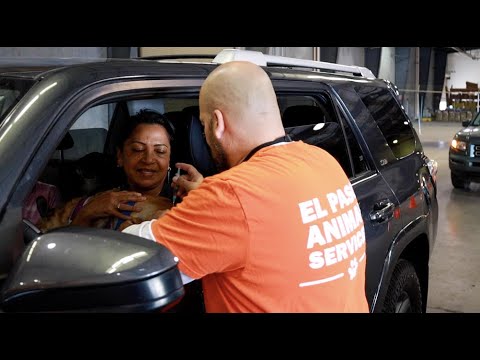 Petco Love celebrates reaching its one-millionth free pet vaccine distribution for family pets. Due to the overwhelming need, Petco Love re-commits another million free vaccines through its Vaccinated and Loved initiative to help end life-threatening pet diseases.