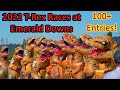 2022 T-Rex Race at Emerald Downs - 100+ Dinos!