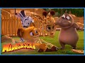 Let&#39;s help Melman! | DreamWorks Madagascar