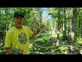 Ale Disc Golf Center - White course hole 6