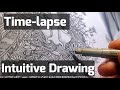 High Detail ink Drawing - Time-lapse