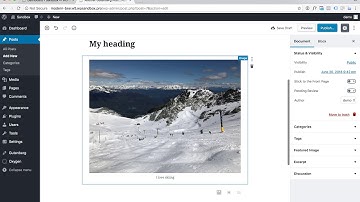 Using Oxygen With Gutenberg: It