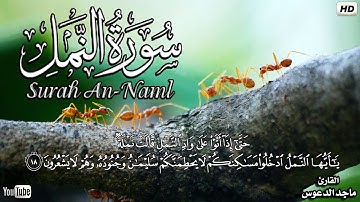 سورة النمل كاملة|| اعتزل العالم واستمع ❤| | القارئ ماجد الدعوس | تلاوة نَدية