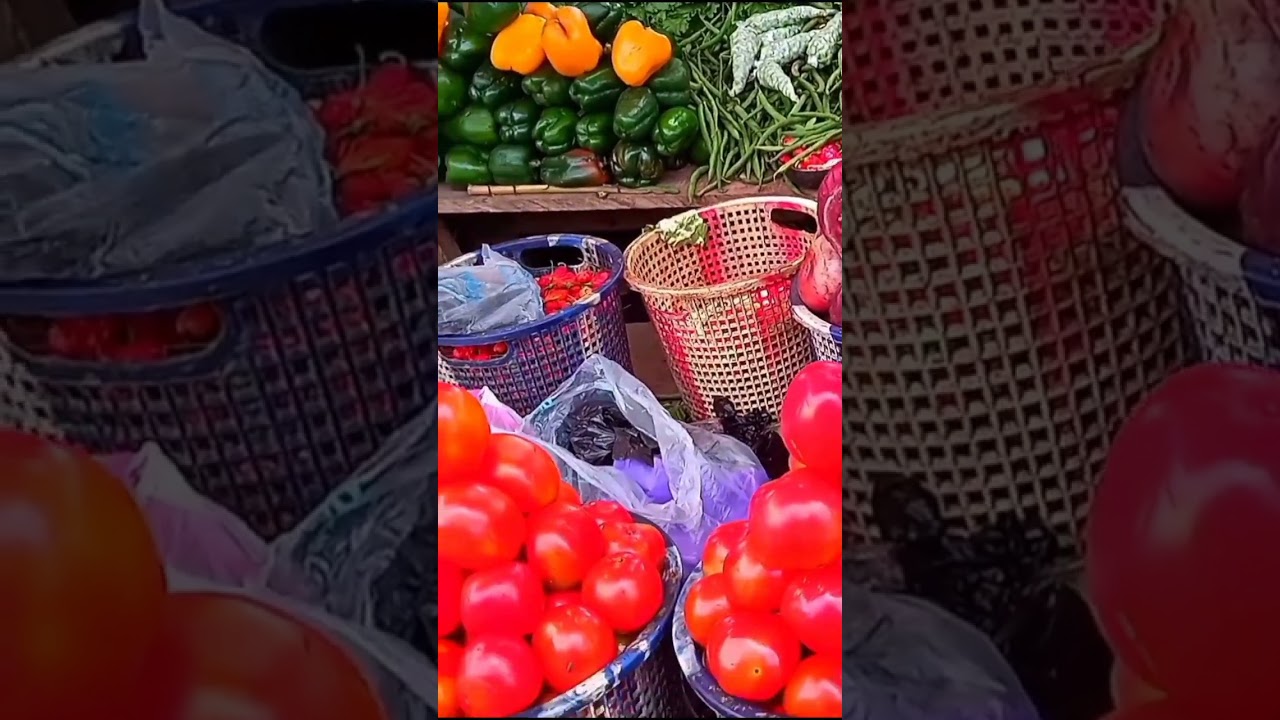 i got this basket of tomatoes   today guess how much?