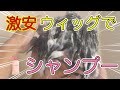 【カツラTV】激安ウィッグでシャンプーしてみたら意外な結果に！【かつら】【Katsura】