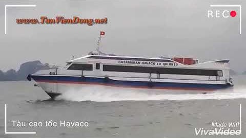 Tàu cao tốc cty Havaco