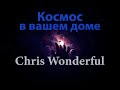      peaceful  relaxing instrumental music  chris wonderful