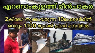 Ernakulam vypin harbour എറണാകുളം വൈപ്പിൻ ഹാർബർ മീൻചാകര