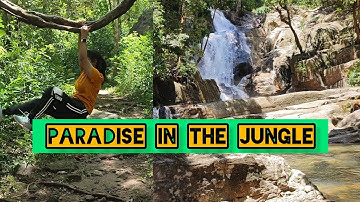 Trek from campus to most beautiful waterfall || IISER TVM to Vazhvanthol Waterfalls