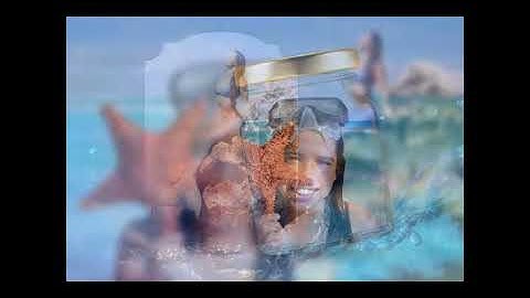 PIP camera- frames version1