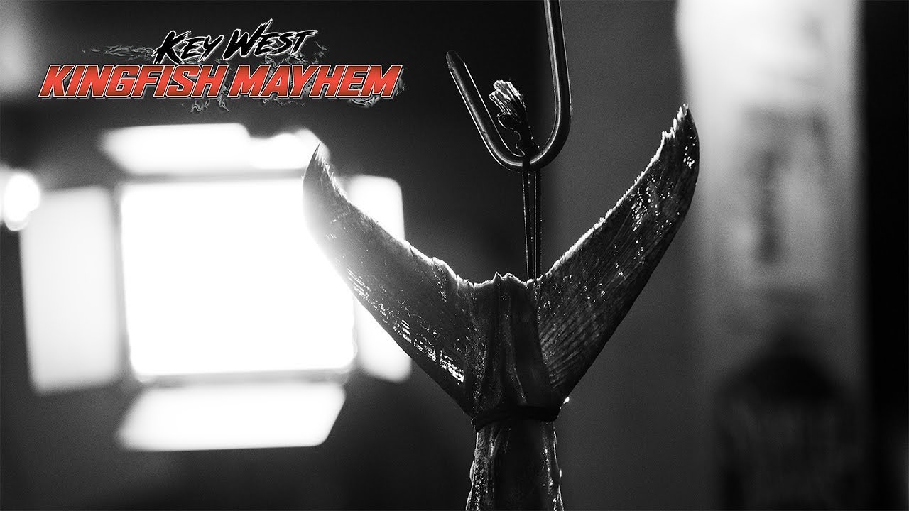 Pro Kingfish Fishing Tournament Weigh-In in Key West | Meat Mayhem Tournaments