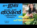 Single drug remedy for dandruff 🌿 ഒറ്റമൂലി പ്രയോഗം തലയിലെ താരൻ പൂർണമായും മാറ്റാം|EP8|Ayurveda Doctor