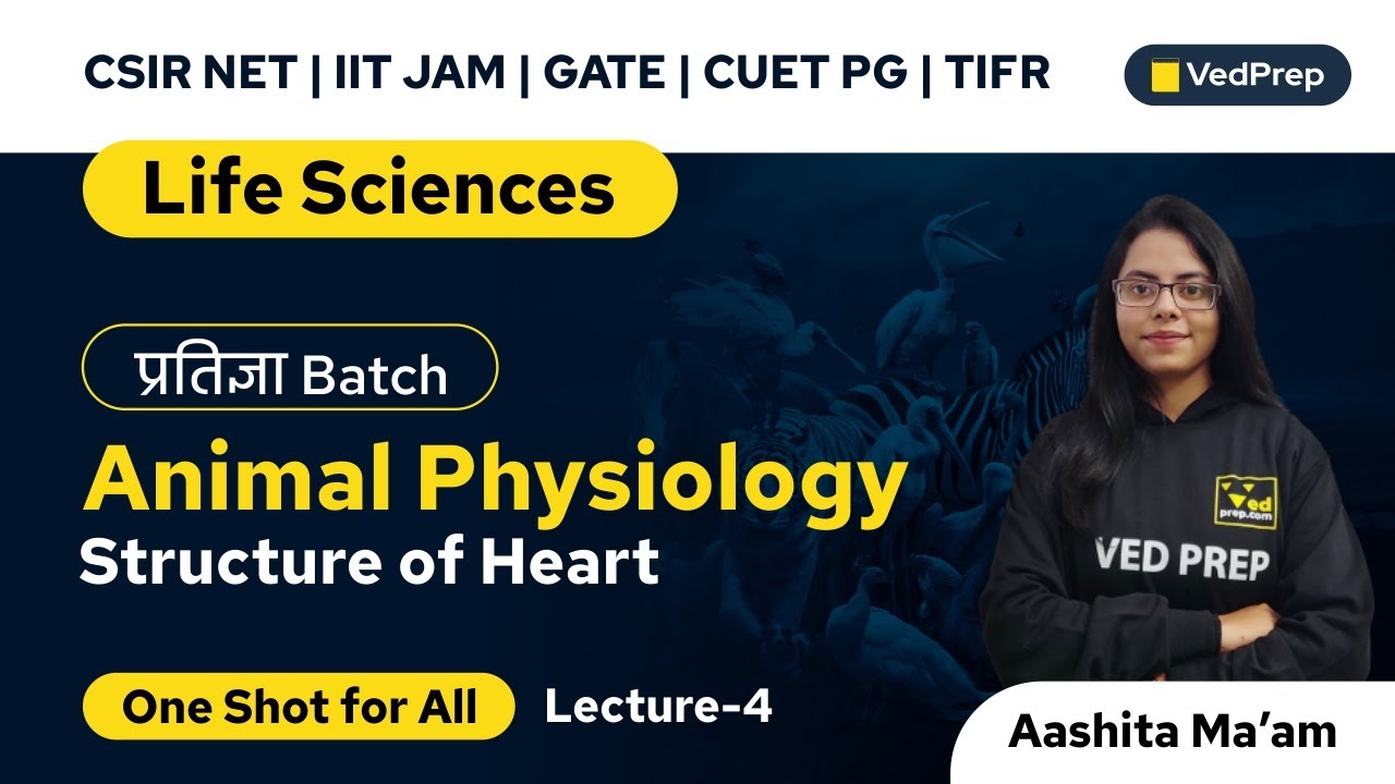 Structure of Heart | Animal Physiology | Life Sciences | CSIR NET | CUET PG| VedPrep Biology Academy