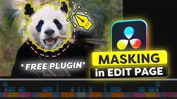 FREE Masking Plugin For Edit Page (Davinci Resolve) | LetMeMask
