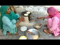 Roti prepared by Indian village women || village lifestyle // life of Punjab // Rural lifestyle