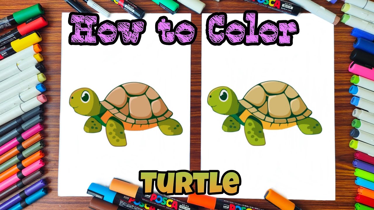 How to Color Turtle | Easy Coloring videos for kids - YouTube