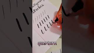 Basic calligraphy strokes // tutorial for beginners #calligraphy #brushpen Profile