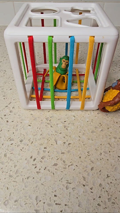 My friend has been caught 🍌🐵🔓🔓