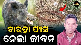 ଶିକାର ଫାଶରେ ଗଲା ଜୀବନ | Youth Electrocuted by Live Wire Set for Wild Boar Hunting in Bolangir