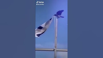 Thumbnail of Siapa nih yg dukung palestina sama indonesia ❤❤❤#fypシ
