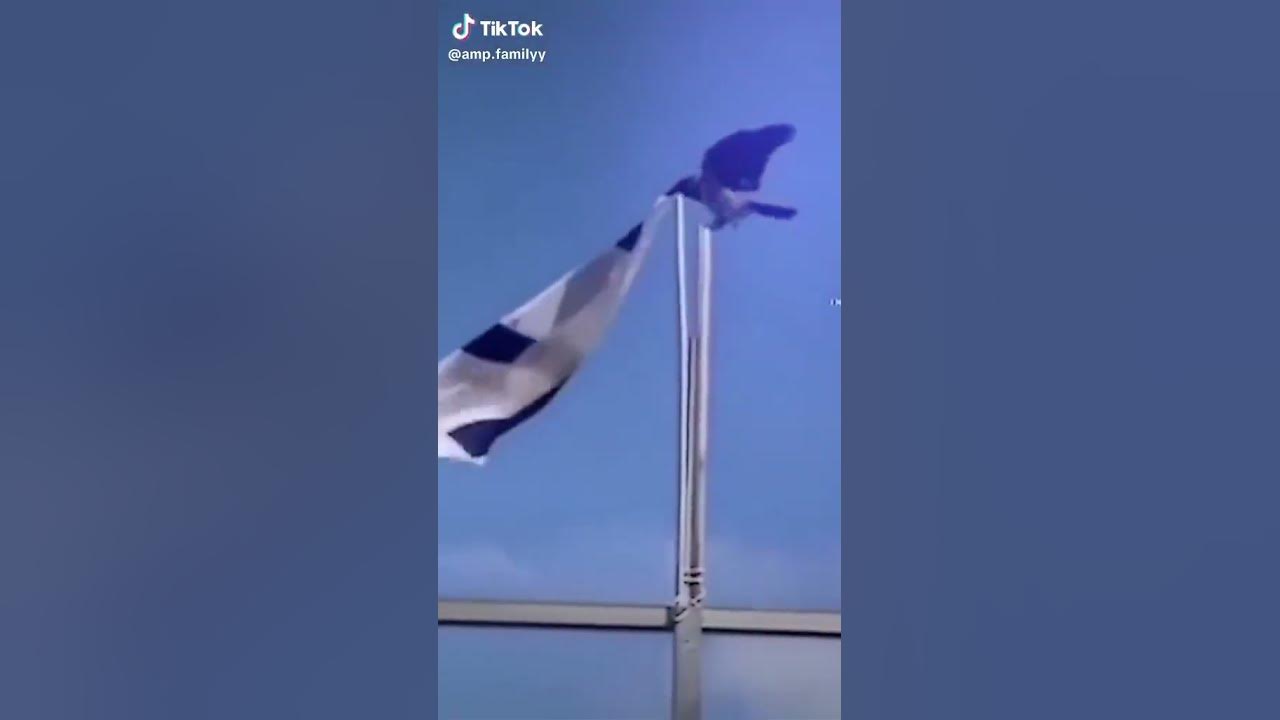 Siapa nih yg dukung palestina sama indonesia ❤❤❤#fypシ