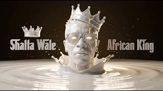 SHATTA WALE - GOD OF THE UNIVERSE ( OFFICIAL AUDIO)