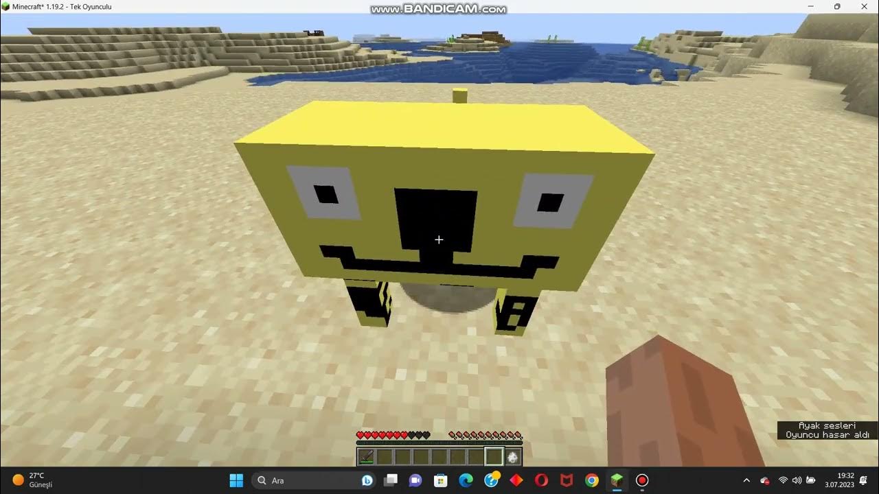 1 19 kiddopedia animal start c 2 - YouTube