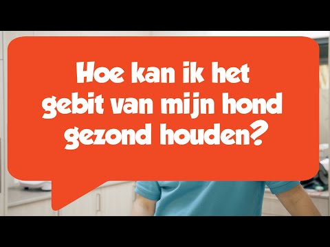 Video: Waarom likt mijn hond het tapijt?