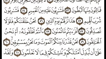 سورة الواقعة آية ٥١-٦٢ #اكسبلور#القران #القاري attaullahfarooqi 5219 عطاء الله فاروقي من الدوحة قطر