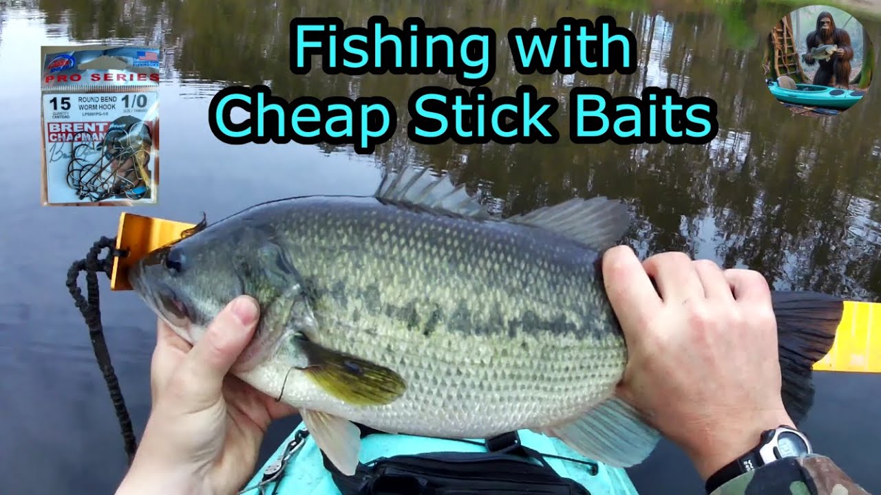 October Bass Fishing from a Kayak. Weeding through the dinks for a big bass.