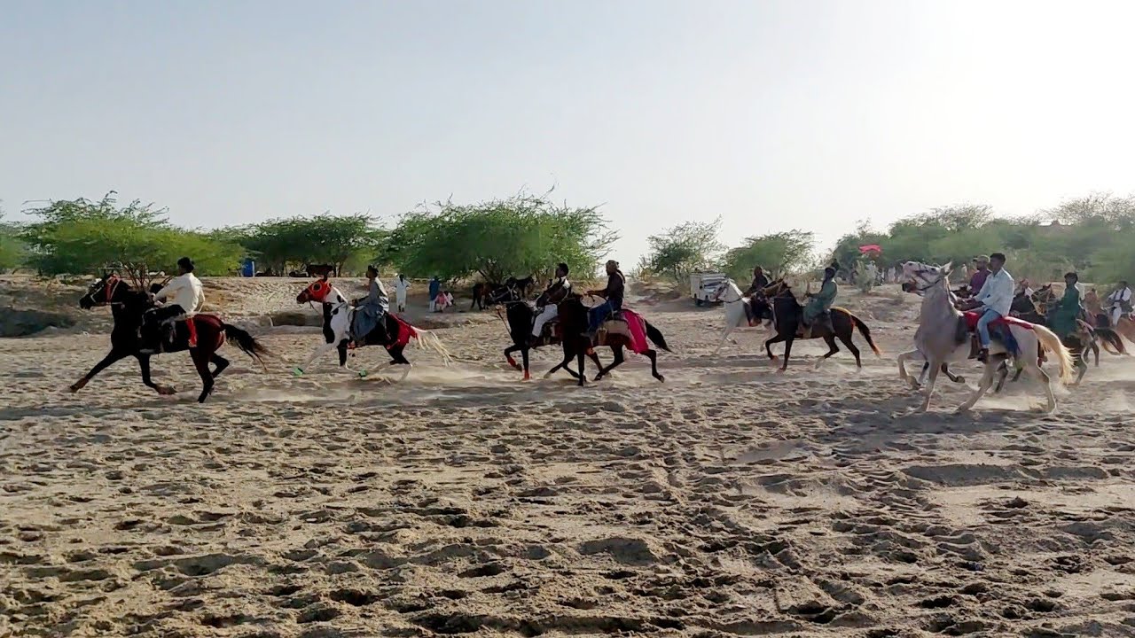 Horse Race Balotra लूणी नदी में सिंधी घोड़ों की पहली बार हुई इतनी शानदार घुड़ दौड़ तिलवाड़ा पशु मेला