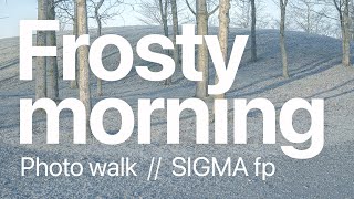 The Frost Is Here Photo Walk With Sigma Fp Vaasa, Finland