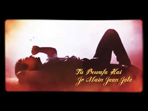 Tu Bewafa Hai Jo Main Jaan