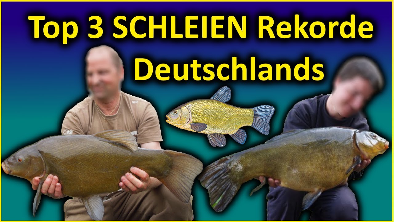 Angeln mit Teig und Pose auf Schleie und Karpfen am Dorfteich 🎣