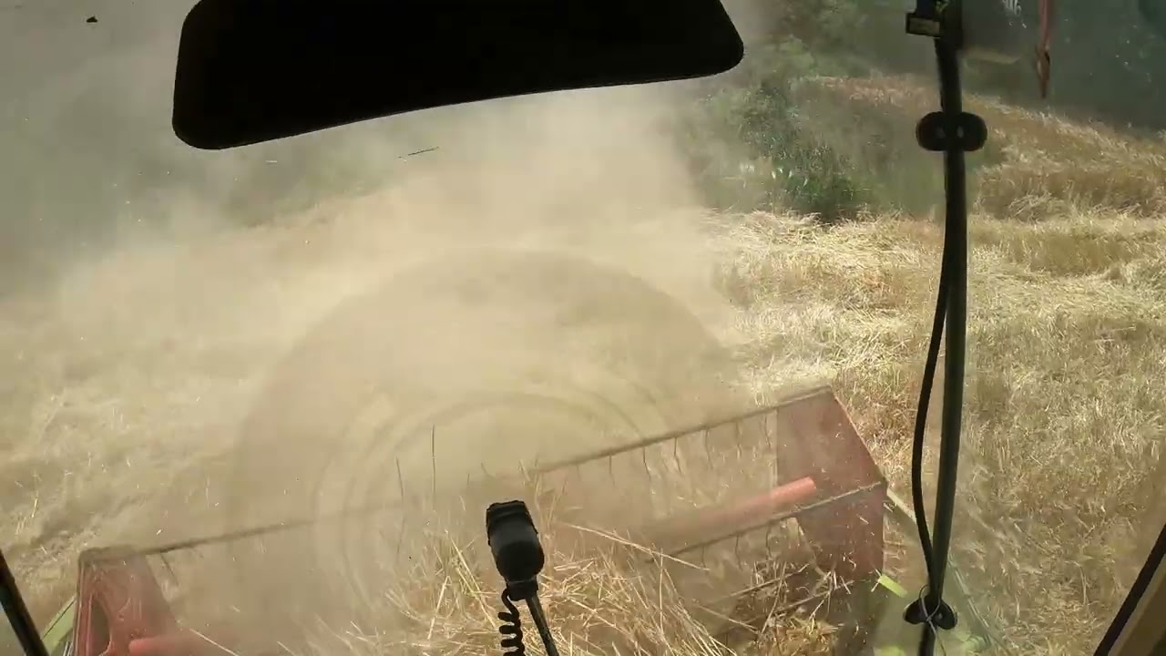 Star ali nezaustavljiv – CLAAS Dominator 88 melje ječam! Zetva 2025