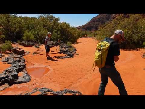 navigating the claims process can often feel like trudging through quicksand
