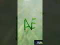 EVANA LOGO TEXT DESIGN #DESIGN #TRENDING #VIRAL #VIDEO #SHORTS