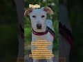 Stella ❤️ eine wirkliche Schönheit